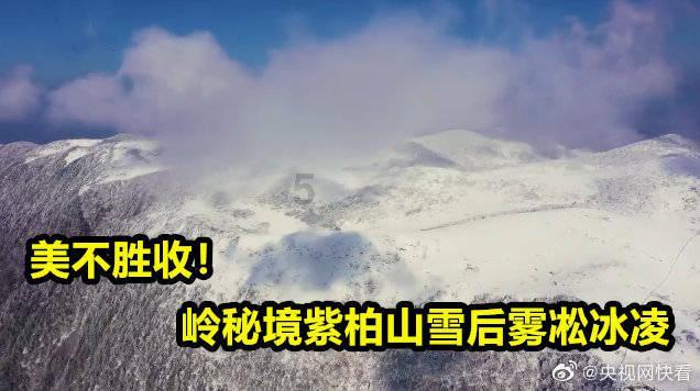 逃离死亡岛