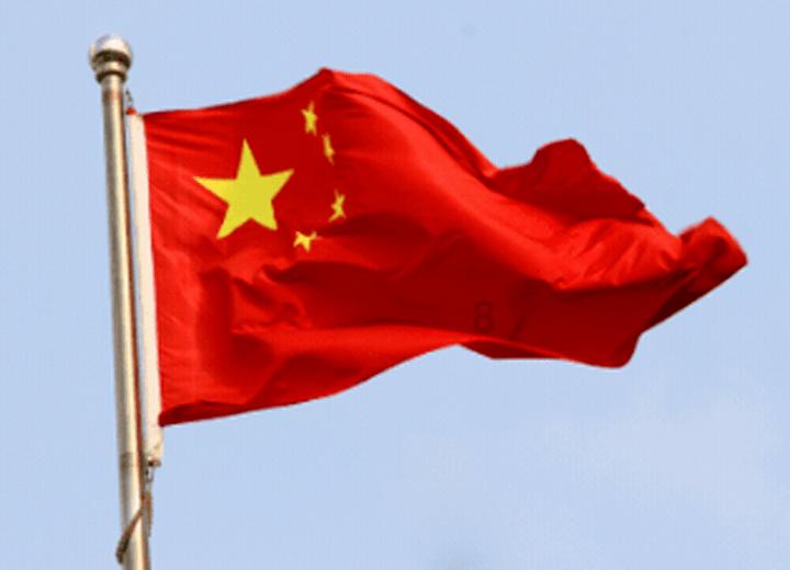 救援贪玩的大象