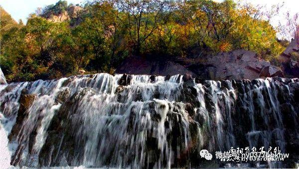 武斗纹章2初篇