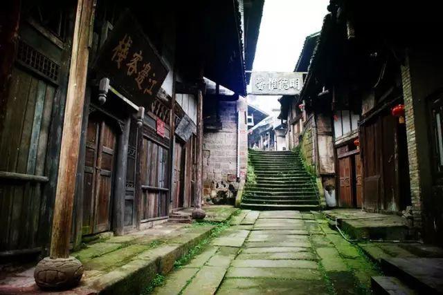 探索喜多院十文字图纸获取方法,尽享知识星球平台魅力